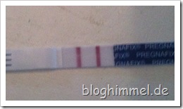 288411_4232552222075_509964958_o